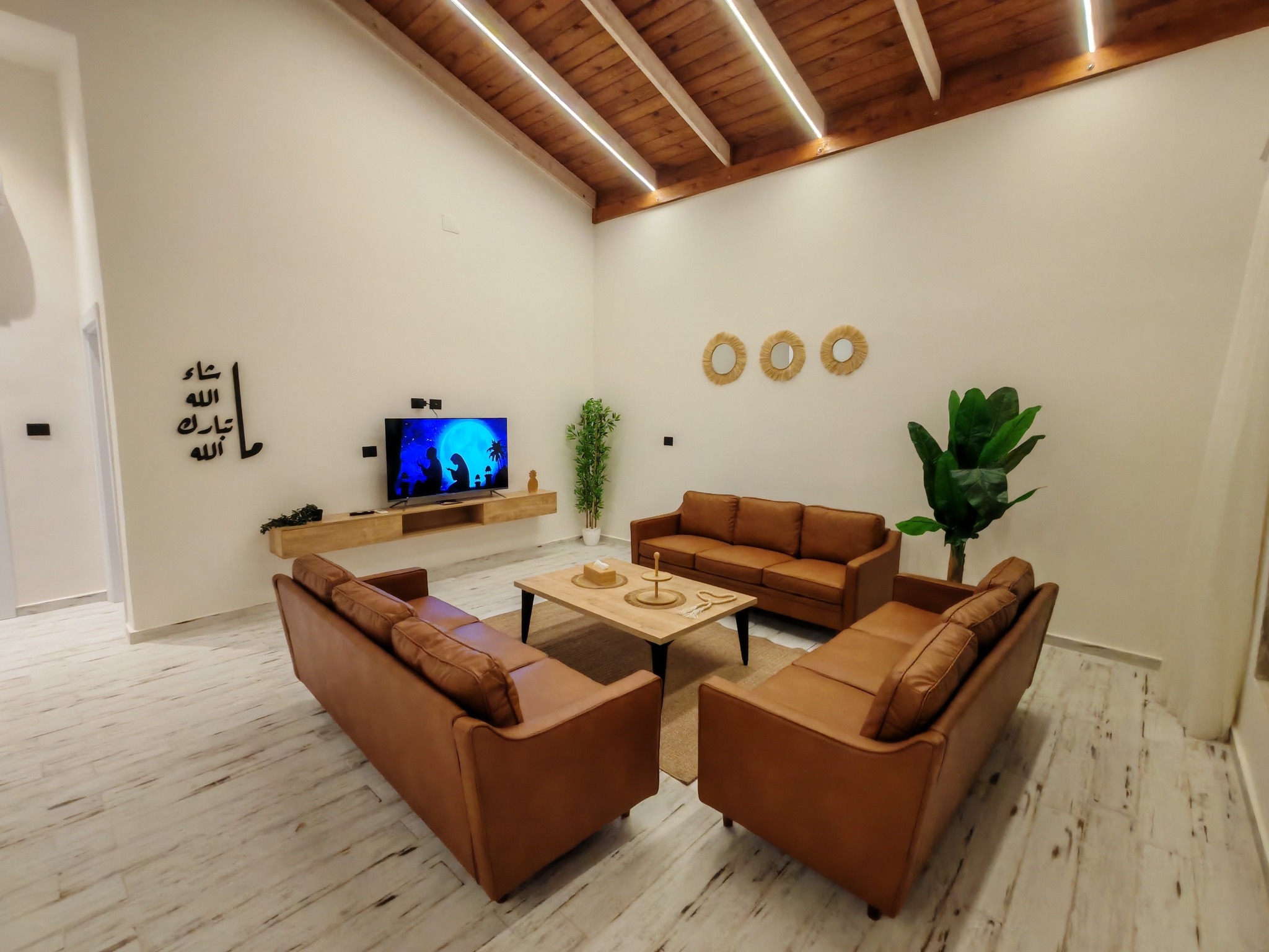 اوديسا - صورة 6